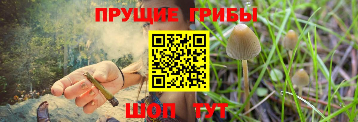 Псилоцибиновые грибы ЛСД Нововоронеж